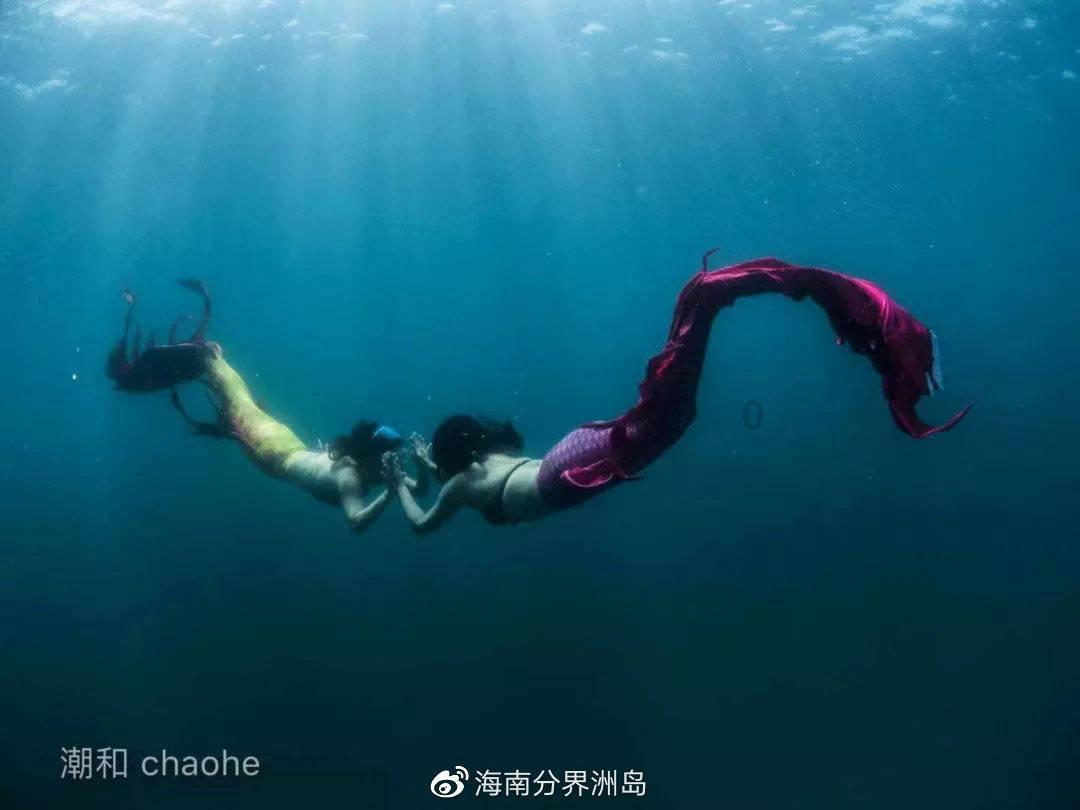 小猫钓鱼开船版最新版下载