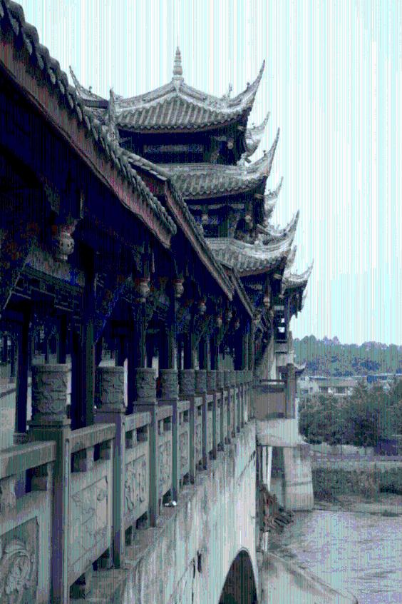 小兔子大冒险