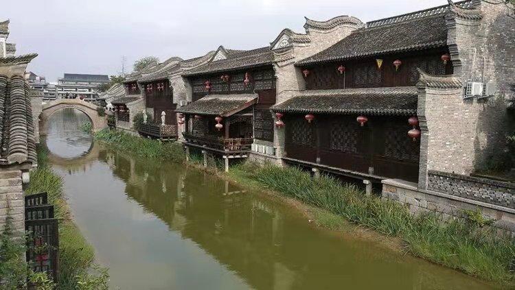逃出茂密的丛林